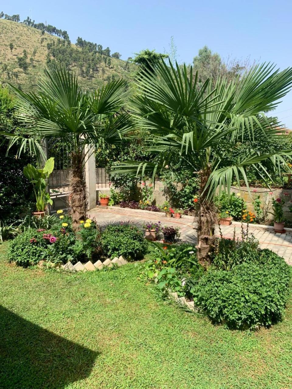 Villa With Garden And Veranda Berat Exterior photo